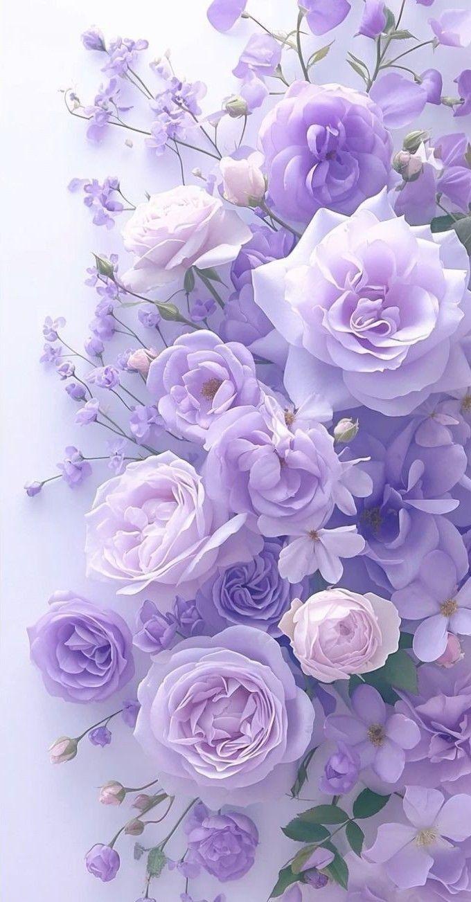 Whimsical Whisper: An Airy Dance of Delicate Blooms